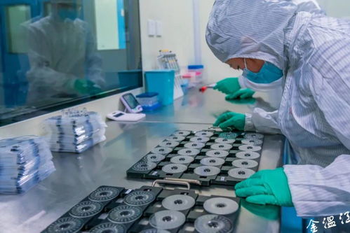 溫江吹響服務業發展集結號 生物農藥技術研發引領綠色產業新風向